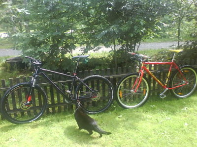 20110722 047.JPG
