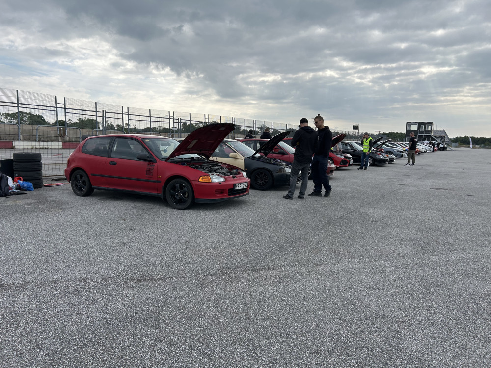 IMG_4664.jpeg