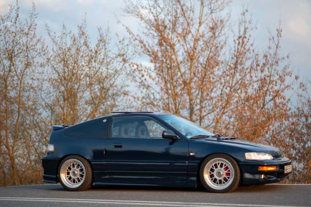 _MPK4155.jpg